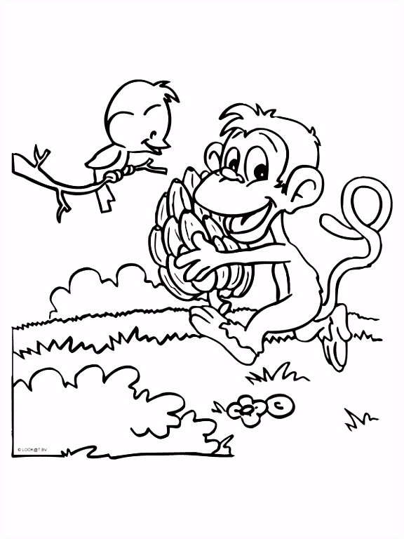 Aap Kleurplaten Kleurplaat Aap Met Tros Bananen Kleurplaten I3zf93mul0 Q6wcs5czi6