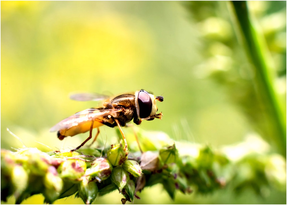 NATUUR