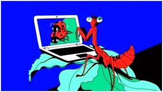 Red het fenomenale seksleven van de insecten