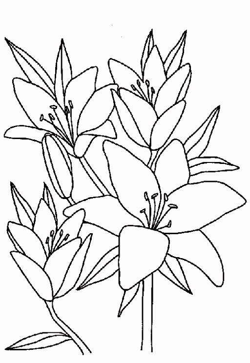 Bloem Kleurplaten â· Kleurplaten Bloemen Bewegende Afbeeldingen Gifs &amp; Animaties Z6og91nlf6 Osyh65fsau