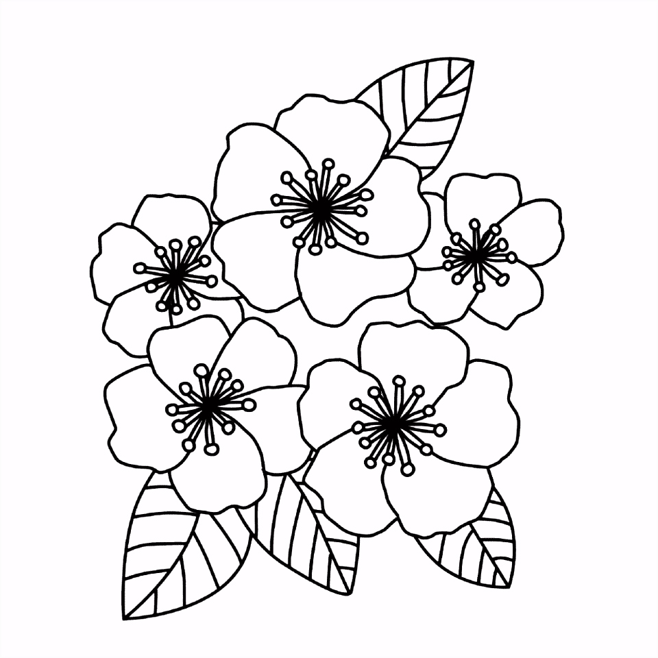 Bloem Kleurplaten Bloem Kleurplaten – Bloemen U5af31wug1 Ohymvurwf2