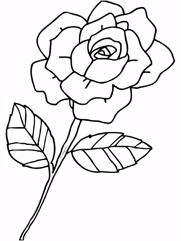 Bloem Kleurplaten Kleurplaat Roos Bloem Liefde Kleurplaten S3ys12jhb3 F2yu66flns