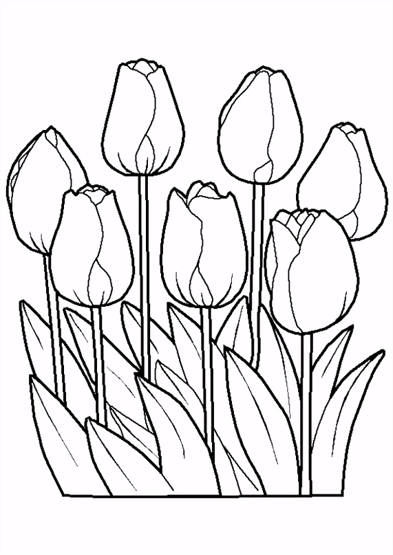 Bloem Kleurplaten Lente Bloem Kleurplaten En Lente Bloem Kleurplaat – Quadeofo C3uj55vfy4 G0fovuunl5