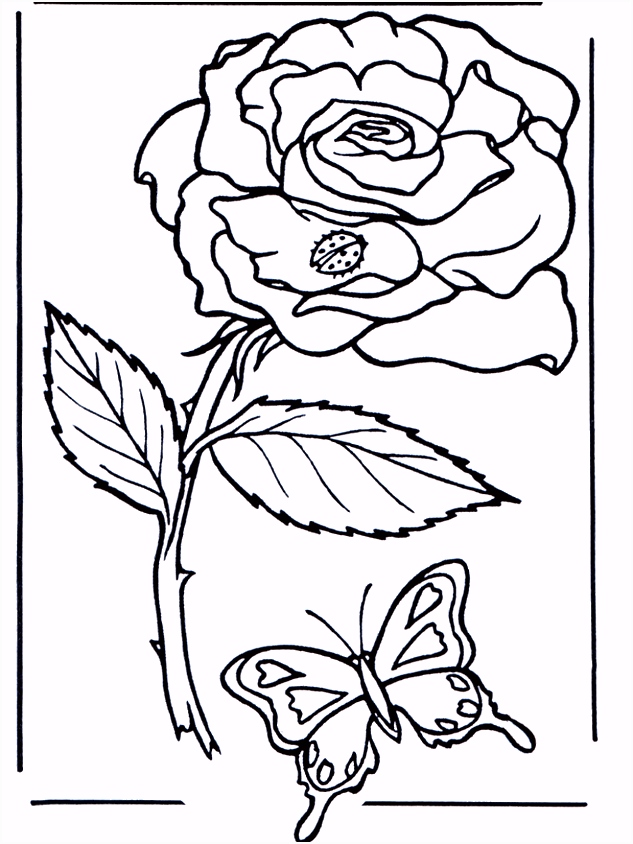 Bloem Kleurplaten Roos Kleurplaten Bloemen I3vj57mru3 Ymih54dti6