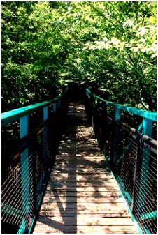 100 best Holiday 98 04 Netherlands Drenthe images on Pinterest