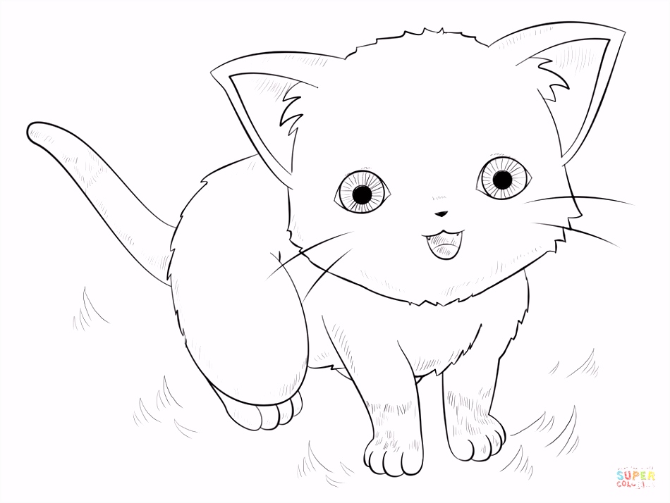 Cat Kleurplaten Anime Kat Kleurplaat K6cs75yky3 A4uzusqvah