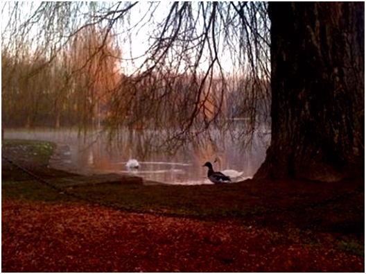 Dieren In De Lente Parc De La Dodaine Nivelles 2018 Alles Wat U Moet Weten Voordat I4eu590av6 U2ndm5uxbu