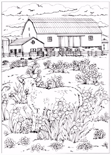 Dieren Kleurplaten 5625 Beste Afbeeldingen Van Kleurplaat In 2018 Coloring Pages O0eg21teo4 X6pxs5cpg6