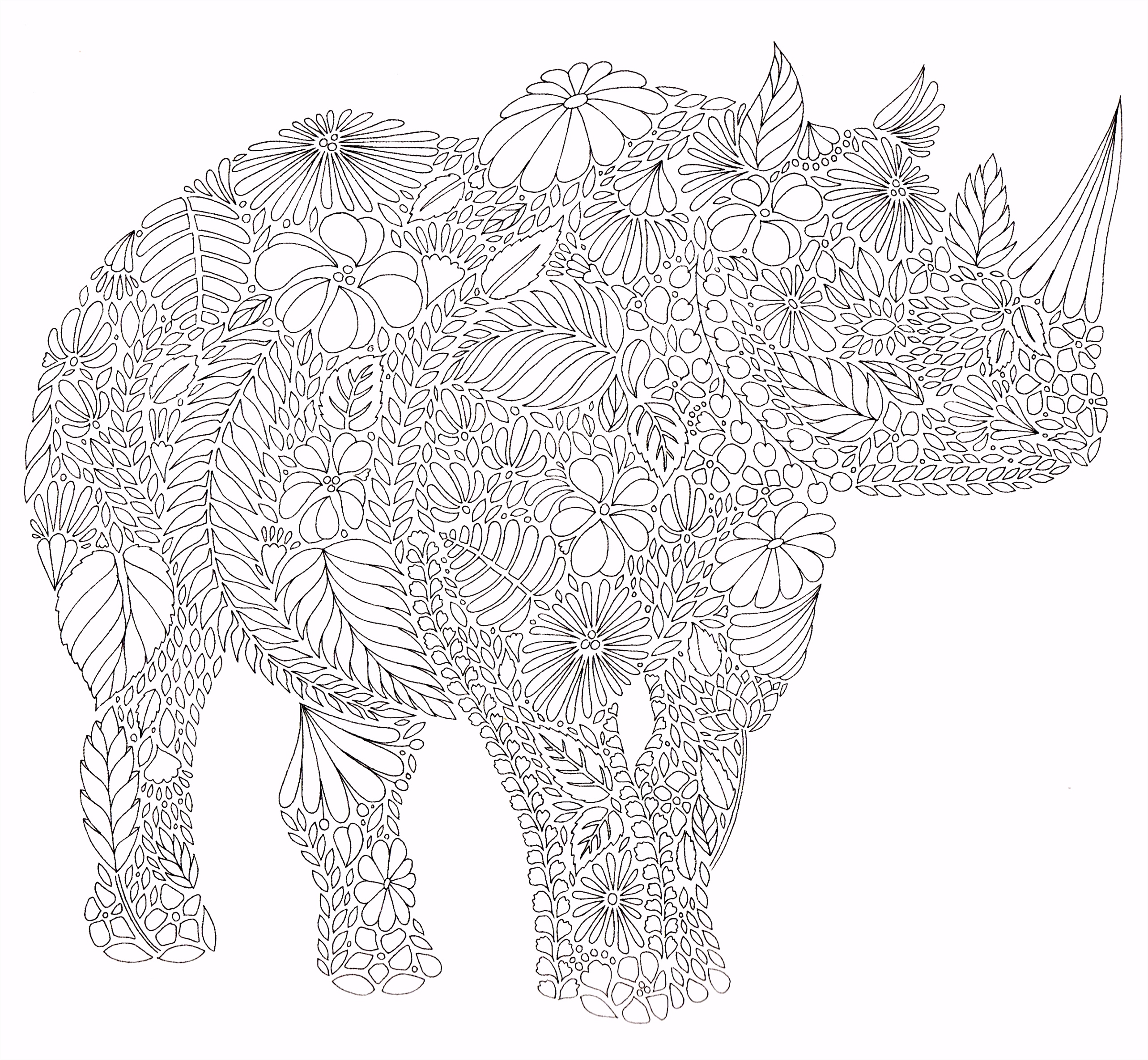 Dieren Kleurplaten Coloring for Adults Kleuren Voor Volwassenen Malowanki R4de23dgk4 Y2bgvhkscu