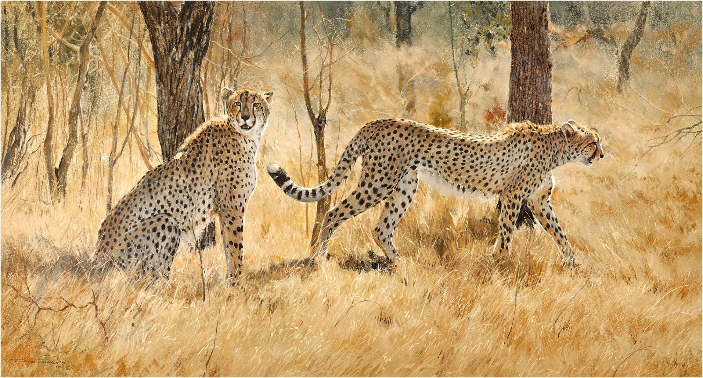 Dino Paravano Cheetah Pair