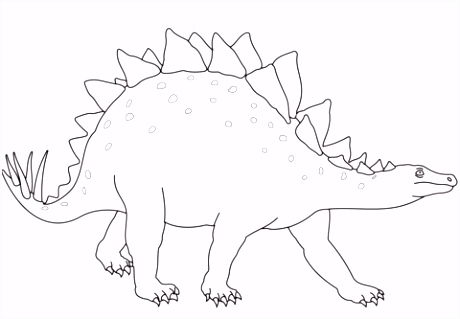 Dinosaur Kleurplaten Stegosaurus Dinosaur Kleurplaat R2bs56hqs6 D6qh24cuqu