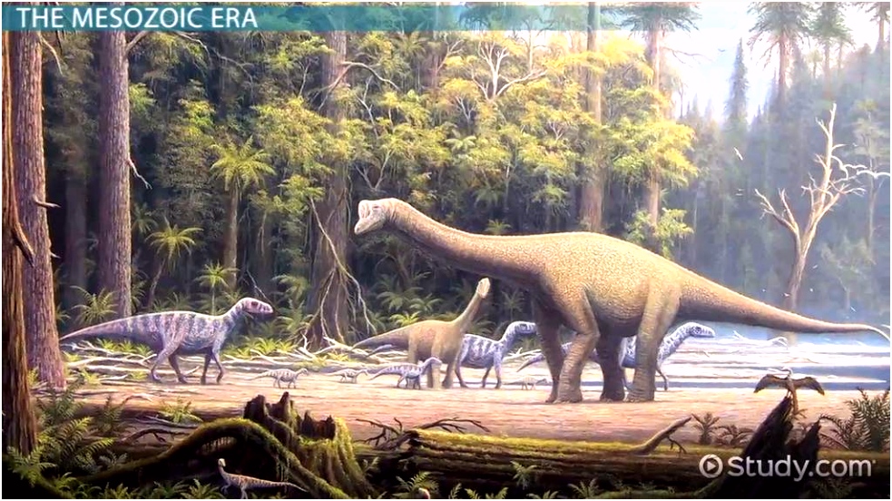 The Mesozoic Era Facts Events & Timeline Video & Lesson