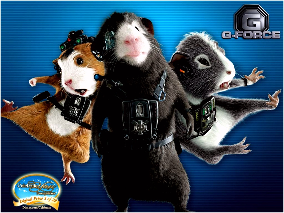 G force Kleurplaten En Wallpapers 24 Best Free G force Wallpapers Wallpaperaccess Y8qt04uny2 W2ef6uest5
