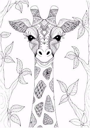 Giraf Kleurplaten Giraffe Kleurplaten Van Giraffe In En Element Giraf Kleurplaten T7jy12esj9 Ruvc45vlm4