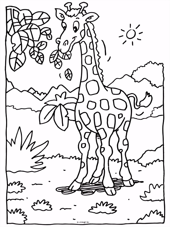 Giraf Kleurplaten Kleurplaat Craft Dino Birds N Animals Pinterest H8ua28wlw4 Gsqe22gdcu