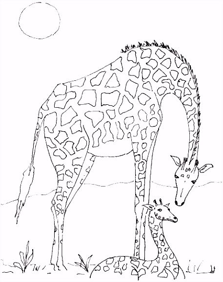 Giraf Kleurplaten Kleurplaat Giraffe Dieren Kleurplaat Animaatjes P8ue67nlk2 Umva64bqsu