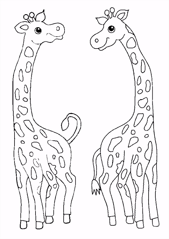 Giraf Kleurplaten Kleurplaat Giraffen 1 Kopen C0oz33b4a3 D0dhsufdju