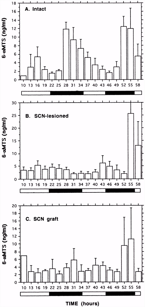 Effects of Suprachiasmatic Transplants on Circadian Rhythms of