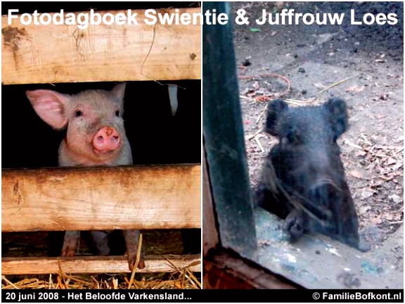 Weblog Familie Bofkont