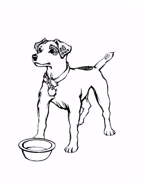 Hond Kleurplaten Hond Kleurplaten J7ne93xaj7 Ysyzhuttbu