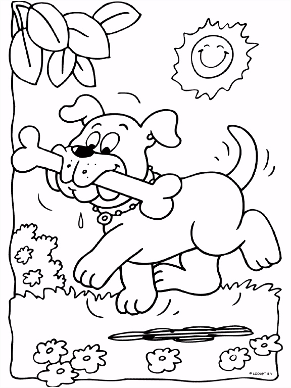 Hond Kleurplaten Kleurplaten Hond Met Bot H9oc26tnb9 J2zg00shf4
