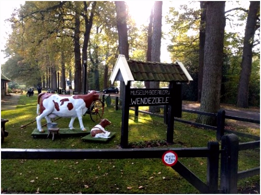 THE 15 BEST Things to Do in Ambt Delden 2018 with s