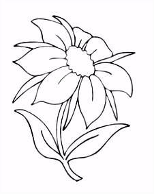 flower Page Printable Coloring Sheets