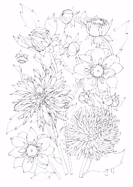 Kleurplaat Bloemen Schilderijen Van orchidee N &amp; andere Botanische Werken Kleuren Voor I7pm94nwc2 D5wtsueffh