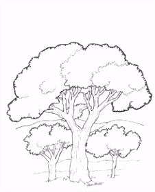 Kleurplaat Boom 65 Beste Afbeeldingen Van Kleurplaten In 2018 Coloring Pages S2oc71uqf4 Hsbj2segu0