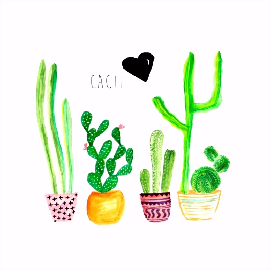 Kleurplaat Cactus 51 Best Cactus Images On Pinterest I9vn04vdc6 W0ycvsbhm4