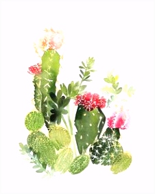 Kleurplaat Cactus 95 Best Cactus Images On Pinterest A3ea89xlr3 O4iy0mrtw6