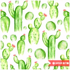 Kleurplaat Cactus Discover Cactus Ideas On Pinterest Q3yw21hkv2 Ymrg2scrwu