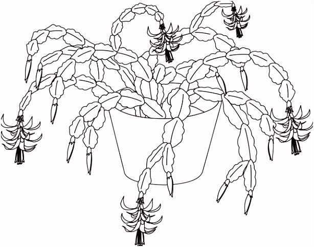 Kleurplaat Cactus Drawing Succulent Un Cactus De P¢ques Illustration Cactus N5pd29jtb4 Ahsu6scnlh