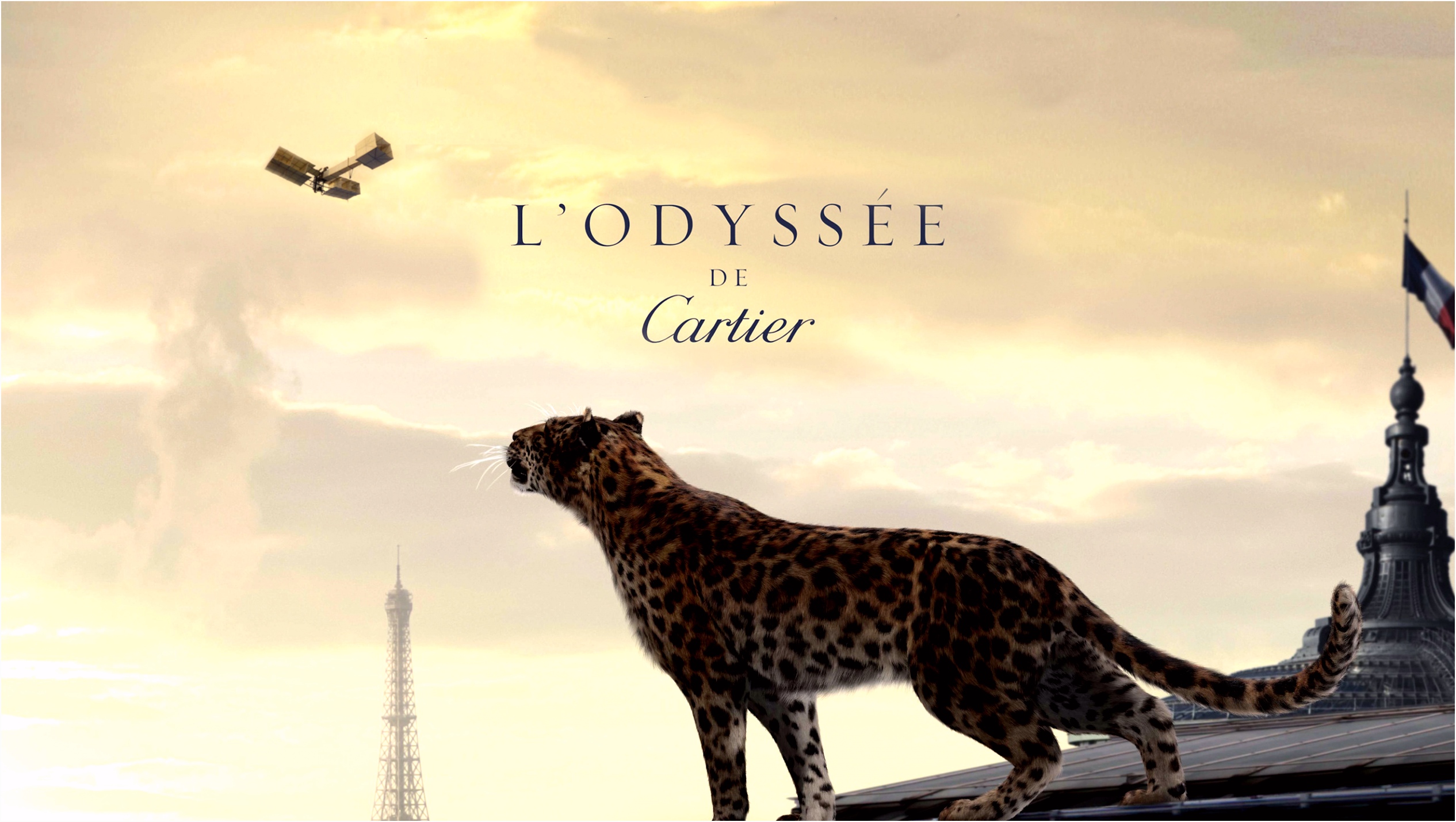 Kleurplaat Cheetah Francois Peyranne Film Art Direction E7ce82kkd6 Cvvc4sfff6