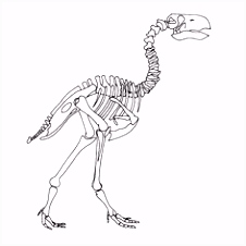 Kleurplaat Dinotrux Les 76 Meilleures Images Du Tableau Stephen Sur Pinterest En 2018 Z7ig61cle3 Xvizmssanu