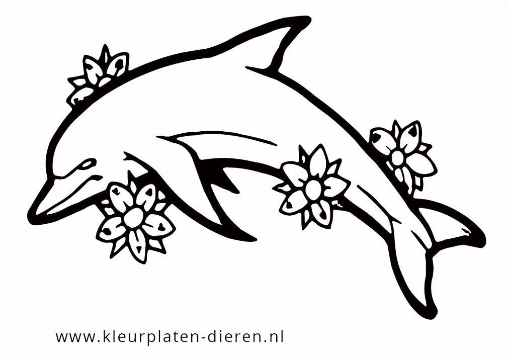 Kleurplaat Dolfijn Kleurplaten Dieren O7uz44gyz5 J6wmmvakn4