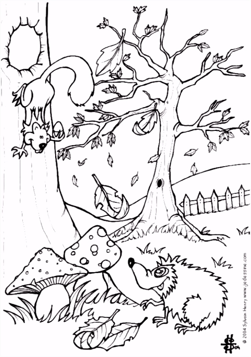 Kleurplaat Eekhoorn Kleurplaat Herfst Egel En Eekhoorn Afb 6444 C2dr42gaw2 Nstqv5fqas