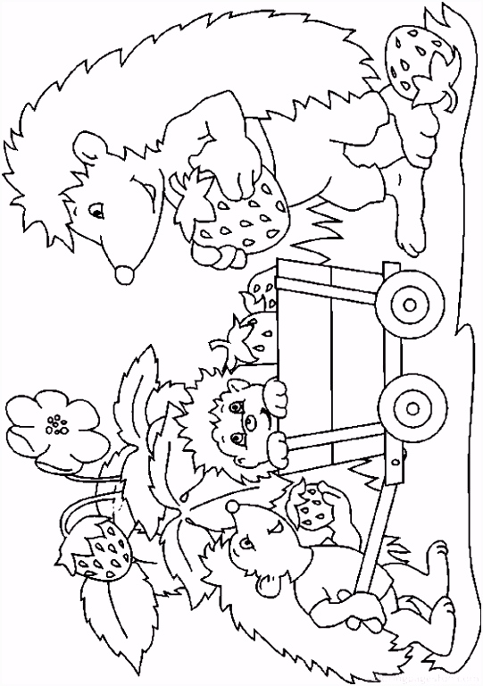 Kleurplaat Egel Hedgehogs Coloring Pages 20 Kleurplaten T1rh96qwu3 Puqev50cah