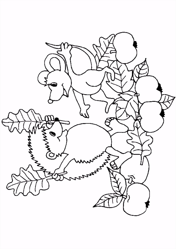 Kleurplaat Egel Kleurplaat Egel 12 Kopen J3pi03gfo5 C2wxvsbyq2