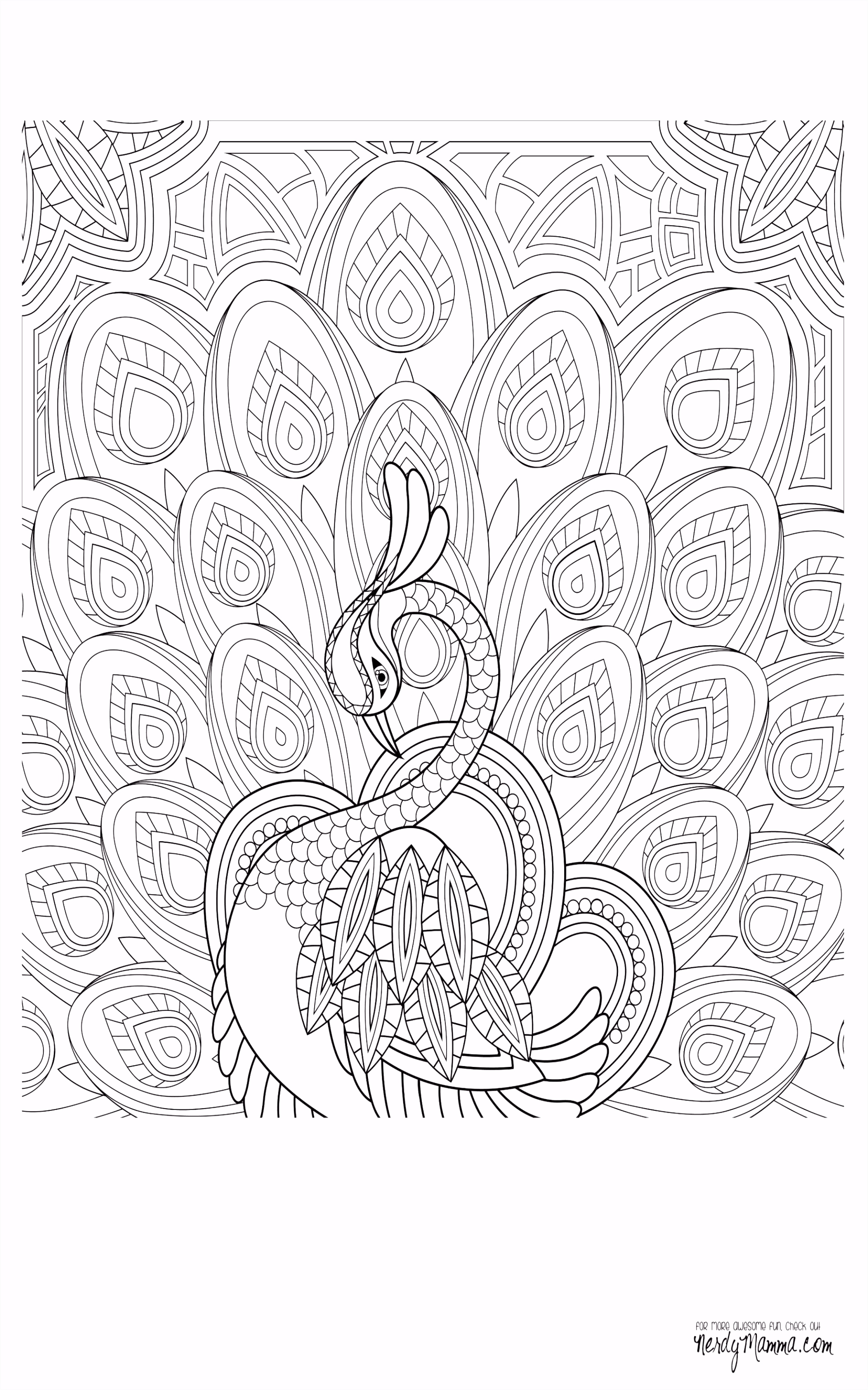 Kleurplaat Fee Fun Coloring Sheets Z3zn14ues4 Wmxvmmgddh