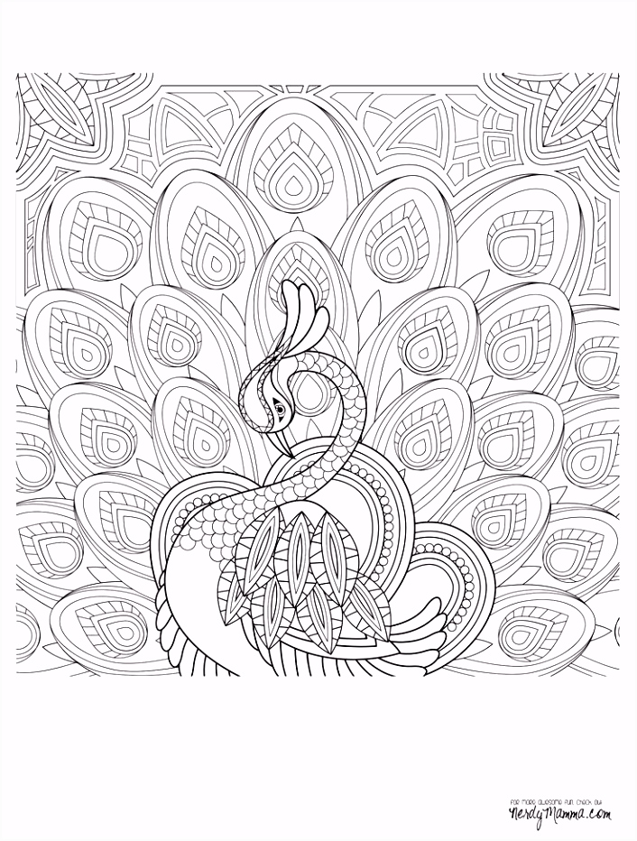 Kleurplaat Flamingo 301 Best Printables Images On Pinterest C6iz56kdr2 R2rj5mzsf6
