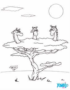 Kleurplaat Giraf 17 Beste Afbeeldingen Van Giraffe Zwart Wit Grappig Giraffes Free E4ur54ete2 Gsrlmuhlh5