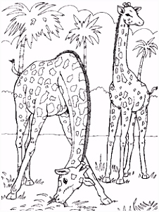 Kleurplaat Giraffe 61 Dintre Cele Mai Bune Imagini Din Jungla Pe Pinterest N 2018 B6cn28jqz6 Bmngh4jwv4