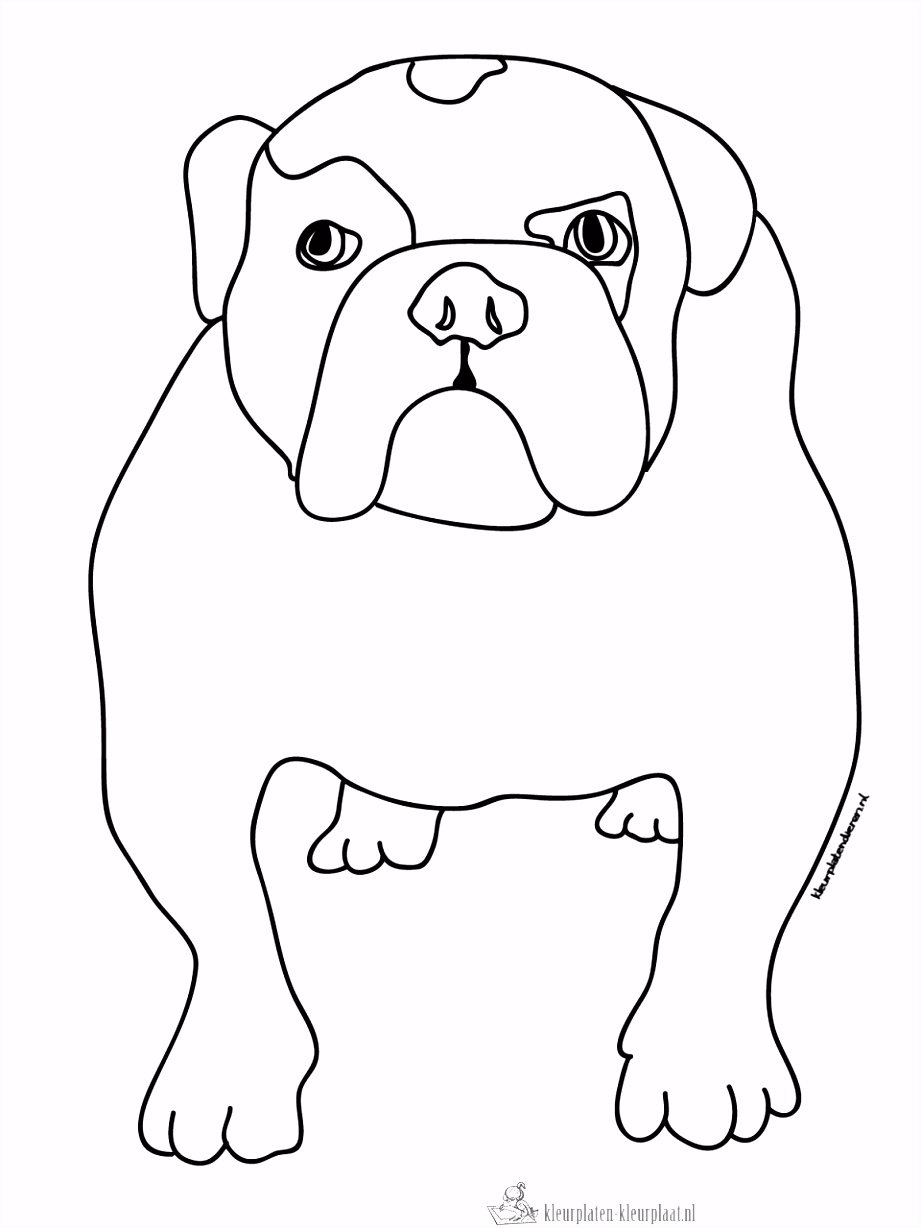 Kleurplaat Hond Hond Kleurplaten Eenvoudig Kleurplaat Van Een Hond Kleurplaten N4qq22exn3 Xsrx64wsdu