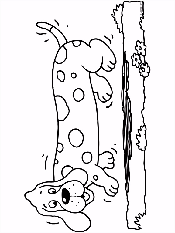 Kleurplaat Hondje Kleurplaat Teckel Hond Kleurplaten I5du44gcs1 Bhbjv2mse4