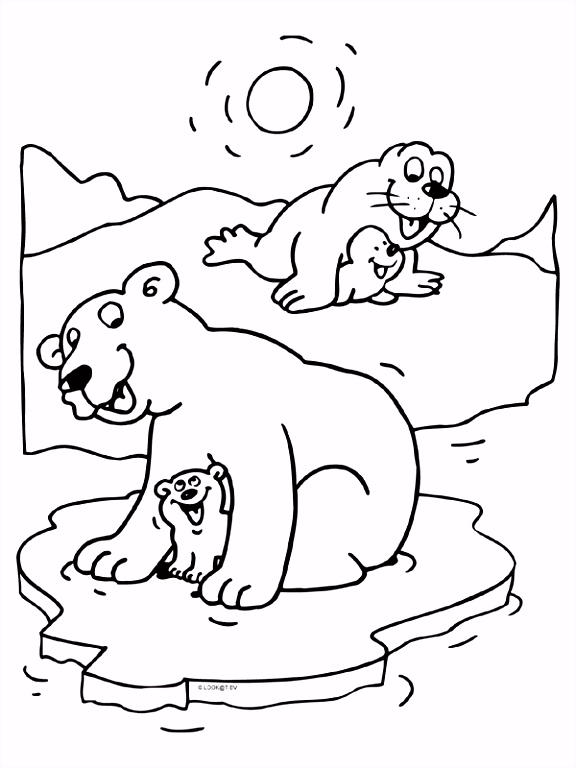 Kleurplaat Ijsbeer Kleurplaat Ijsbeer En Zeehond Met Jong Kleurplaten J5rd62udh2 I6rh66eash