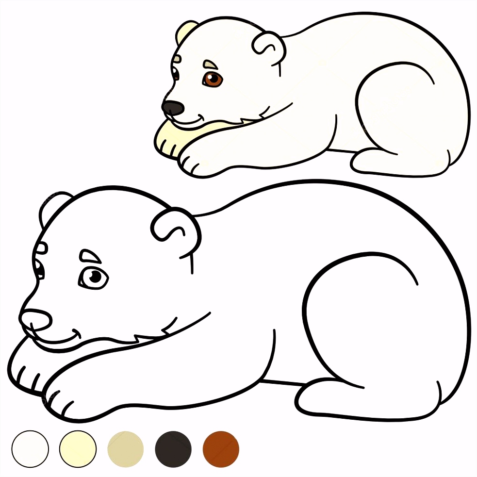 Kleurplaat Ijsbeer Kleurplaat Kleine Schattige Baby Ijsbeer — Stockvector © Ya Mayka I9rs46sak7 Vmns5ulhzh