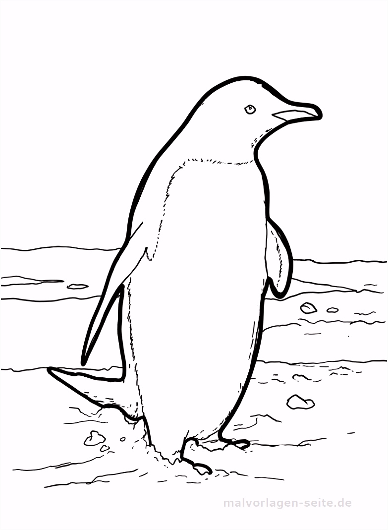 Kleurplaat Ijsbeer Kleurplaat Pingu¯n Y5ij74ldm4 O6ynmstot2