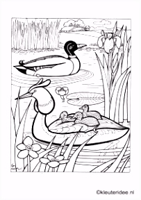 Kleurplaat Jill 14 Beste Afbeeldingen Van Inheemse Dieren Kleurplaten Coloring C2yj27zwm7 B6nsm5sdku