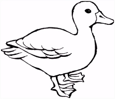 Kleurplaat Jungle 61 Beste Afbeeldingen Van Vogels Kleurplaten In 2018 Coloring W4wa61akh4 Wmqbmsjde4